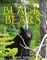 Black Bears