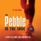 Pebble in the Shoe