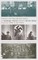 Political and Transitional Justice in Germany, Poland and the Soviet Union from the 1930s to the 1950s