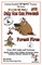 Only You Can Prevent Forest Fires - Over 200 Jokes + Cartoons - Animals, Aliens, Animals, Aliens, Sports, Holidays, Occupations, School, Computers, Monsters, Dinosaurs & More in BLACK and WHITE