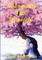 A Magnolia Tree Blossoms