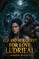 Elf and her Quest for Love Ludrieal