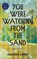 You Were Watching from the Sand