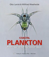 Coastal Plankton