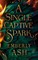 A Single Captive Spark