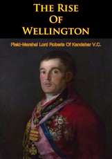 Rise Of Wellington