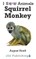 Squirrel Monkey