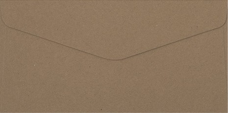 Vokai DL KRAFT 120g 10vnt tam smėlio