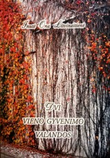Dvi vieno gyvenimo valandos