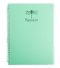 Sąsiuvinis su spirale, plastikiniu viršeliu FAVORITE A4 80lap., lang.,mėtinis