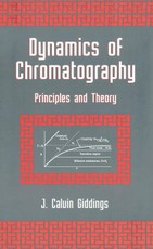 Dynamics of Chromatography