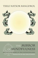 The Mirror of Mindfulness