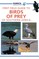 First Field Guide to Birds of Prey of Southern Africa