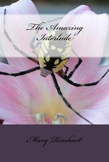 The Amazing Interlude