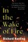 In the Wake of the Fire