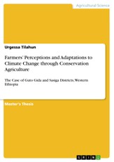 Farmers' Perceptions and Adaptations to Climate Change through Conservation Agriculture