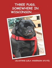 Three Pugs, Somewhere in Wisconsin