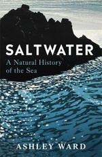 Saltwater