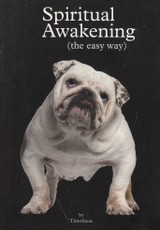 Spiritual Awakening (the easy way)