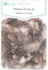 Plunksnos putpelių 5-12cm, 5g