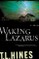 Waking Lazarus