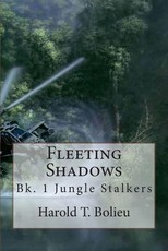 Fleeting Shadows