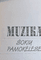 Muzika šokių pamokėlėse