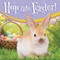 Hop into Easter