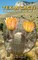 Texas Cacti