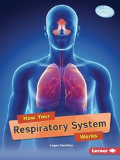 How Your Respiratory System Works