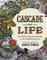 Cascade of Life