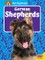 German Shepherds