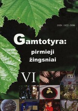 Gamtotyra: pirmieji žingsniai (VI dalis)