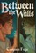 Between the Walls