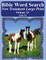 Bible Word Search New Testament Large Print Volume 14