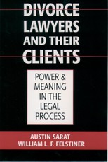 Divorce Lawyers and Their Clients