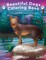 Beautiful Dogs Colouring Book - Creative Mindfulness & Meditation For Adults