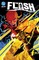 DC K.O. The Flash