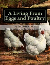 A Living From Eggs and Poultry