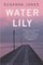 Water Lily