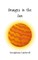 Oranges in the Sun