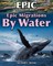 Epic Migrations by Water
