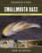 Favorite Flies for Smallmouth Bass