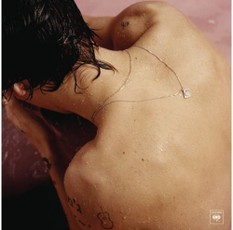 Vinilinė plokštelė LP HARRY STYLES „Harry Styles“