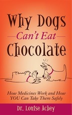 Why Dogs Can't Eat Chocolate