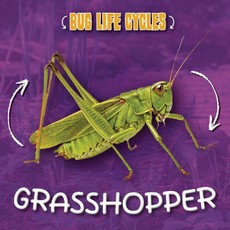 Grasshopper