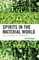 Spirits in the Material World