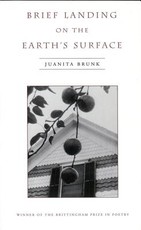 Brief Landing on the Earth's Surface, 1996