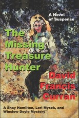 The Missing Treasure Hunter