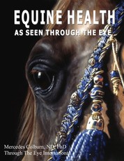 Equine Health - As seen through the eye